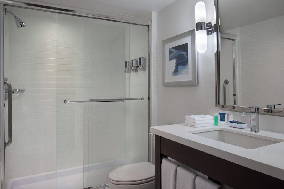 Deluxe Room, 1 King Bed with Sofa bed | Bathroom | Eco-friendly toiletries, hair dryer, bathrobes, towels