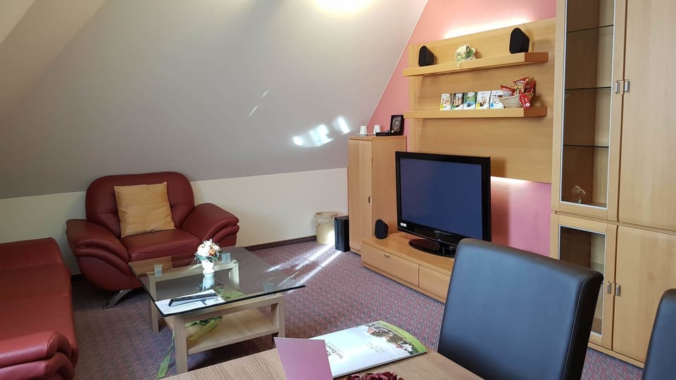 40-inch LED TV with satellite channels