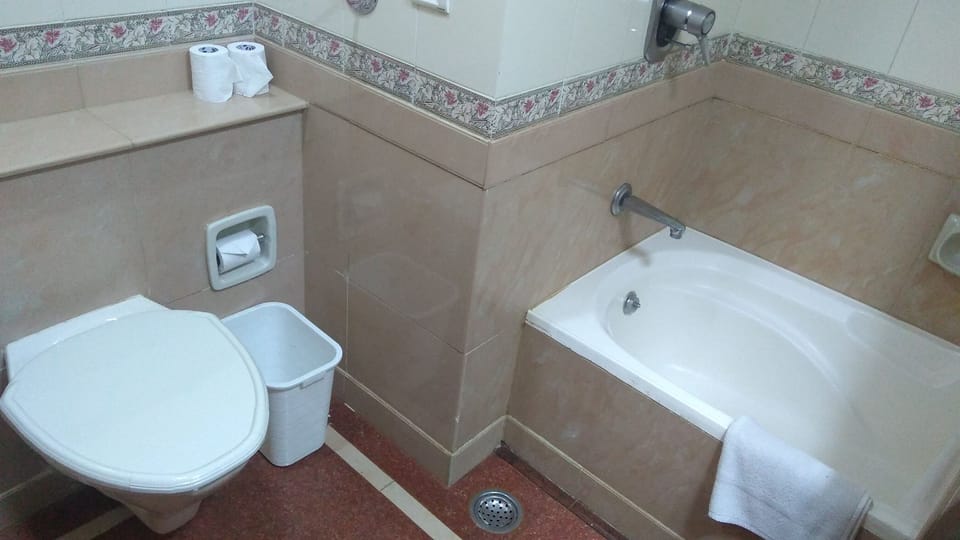 Separate tub and shower, free toiletries, hair dryer, towels
