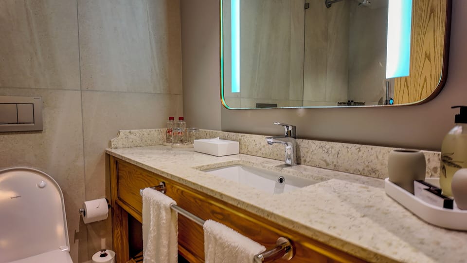 Deluxe Room | Bathroom | Combined shower/tub, free toiletries, hair dryer