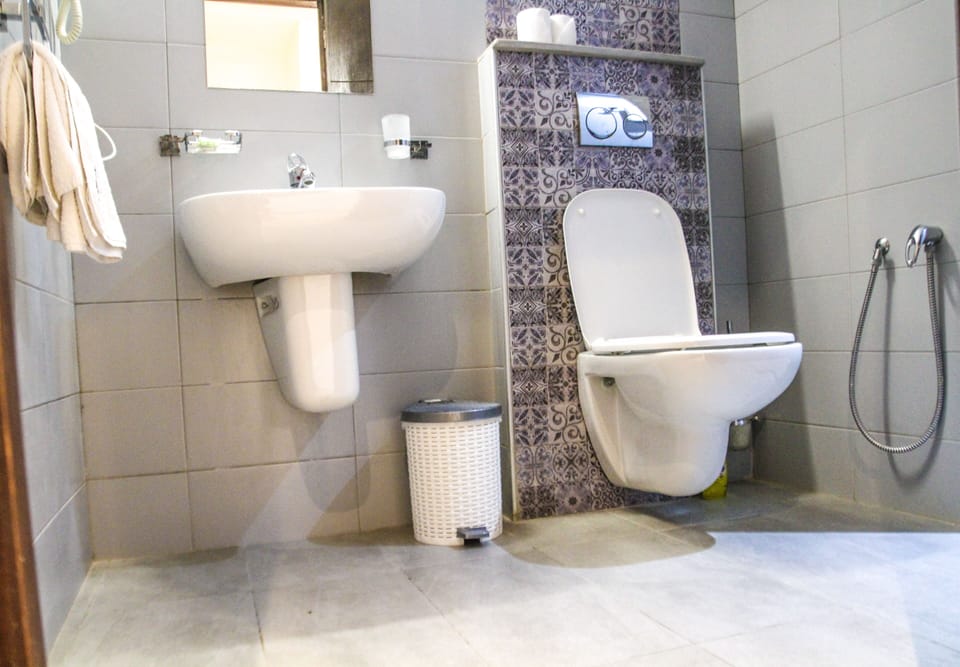 Shower, free toiletries, hair dryer, towels