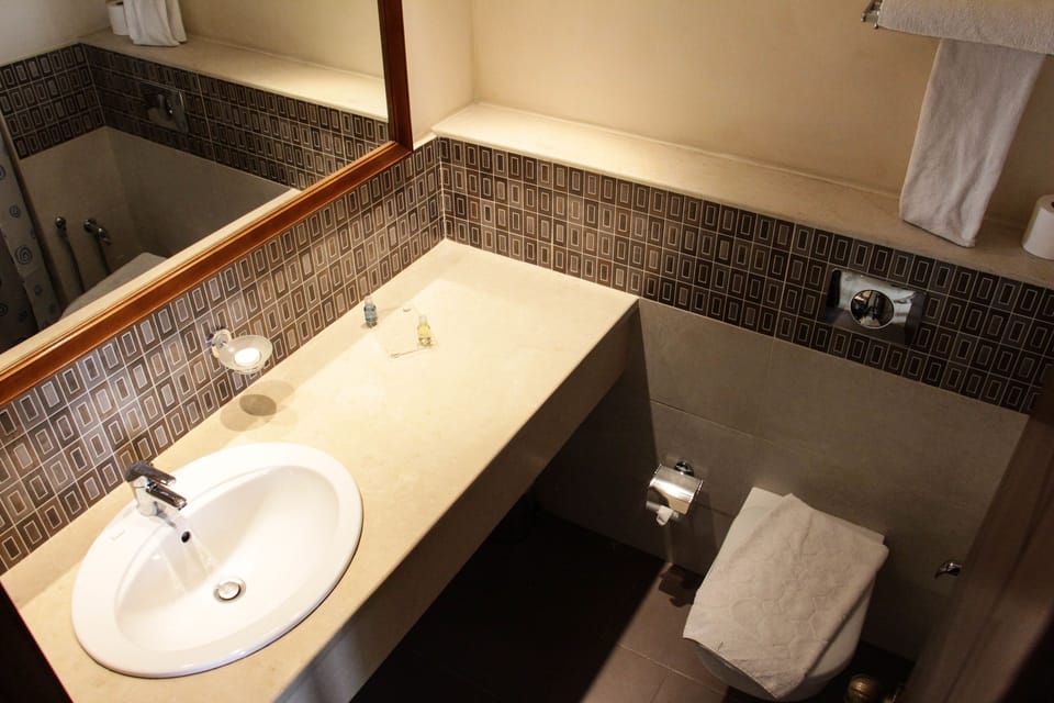 Single Room | Bathroom | Free toiletries, hair dryer, towels