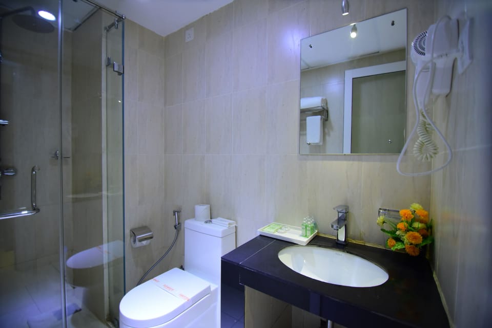 Deluxe Double Room | Bathroom | Shower, free toiletries, hair dryer, bidet