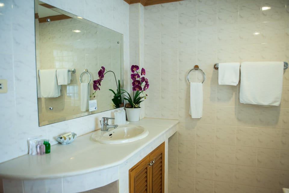 Superior Suite  | Bathroom shower