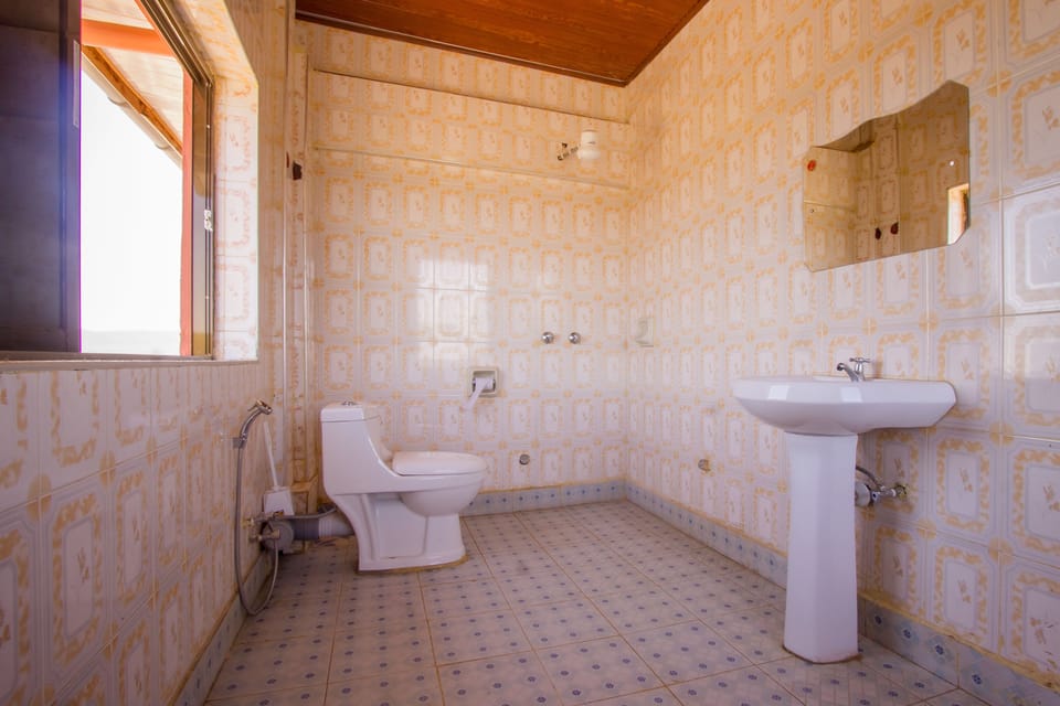 Deluxe Double Room | Bathroom | Shower, free toiletries, towels