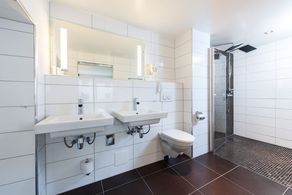 Shower, hair dryer, towels