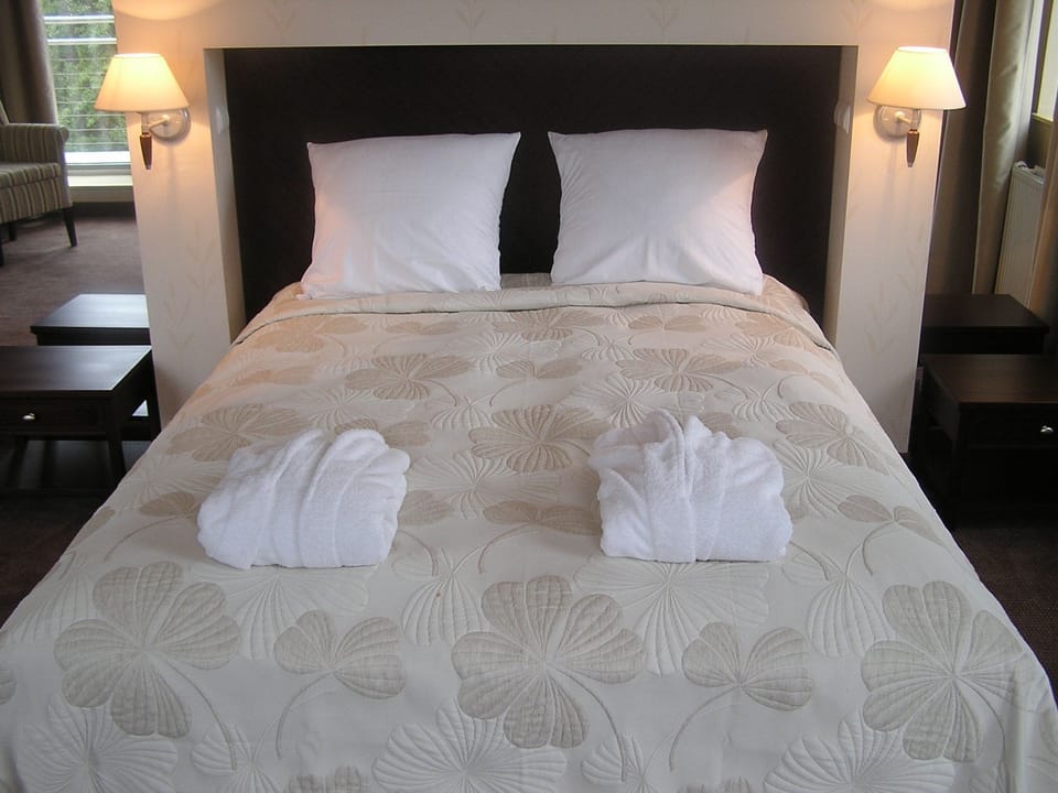 Deluxe Double Room | Minibar, desk, iron/ironing board, rollaway beds