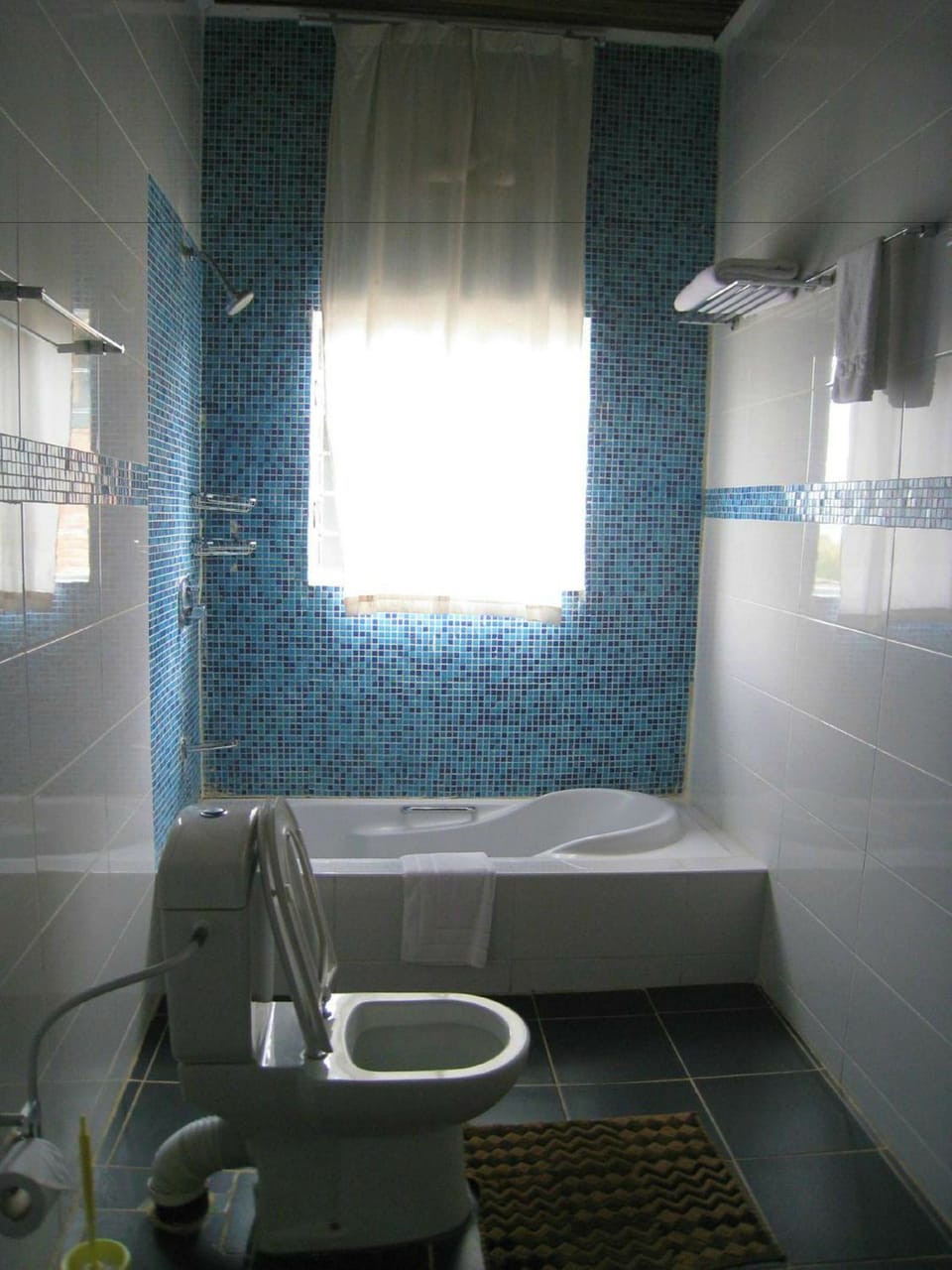 Shower, free toiletries, hair dryer (on request), slippers