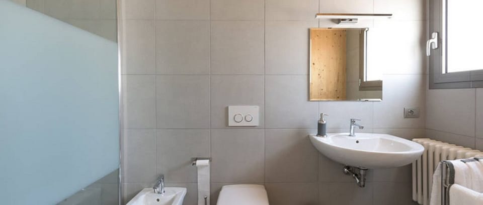 Shower, hair dryer, bathrobes, bidet