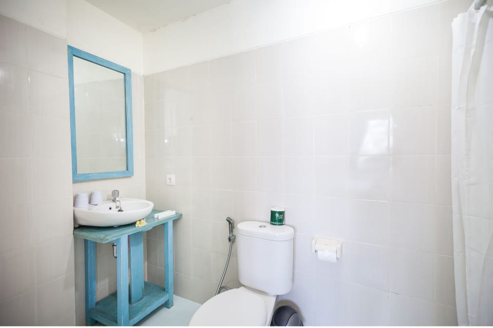 Shower, hydromassage showerhead, free toiletries, hair dryer