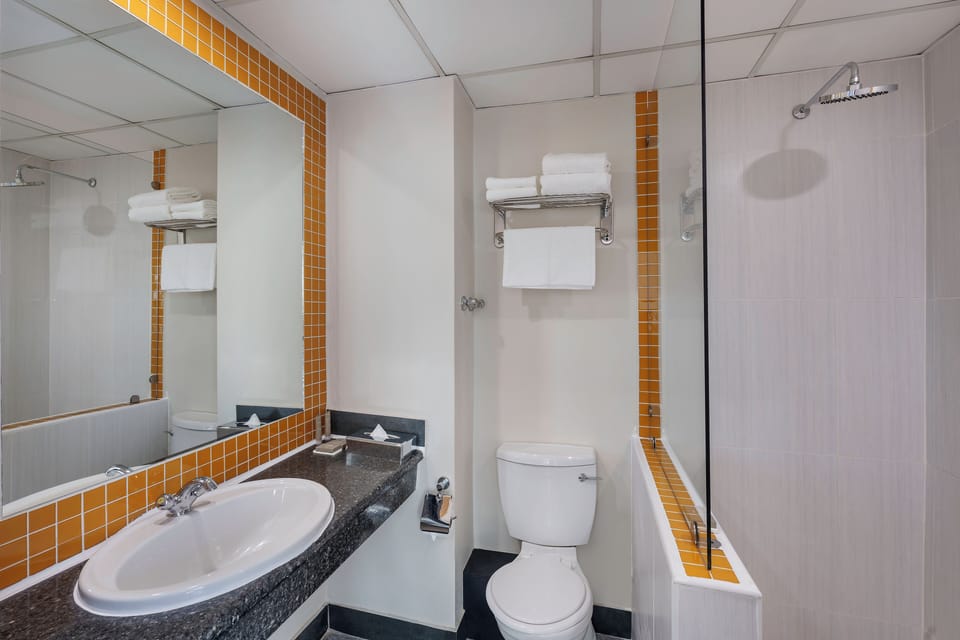 Suite, 1 Bedroom, City View | Bathroom | Shower, free toiletries, hair dryer, towels