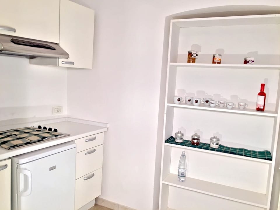 Family Apartment, 2 Bedrooms, 2 Bathrooms | Private kitchen | Fridge, microwave, stovetop, electric kettle