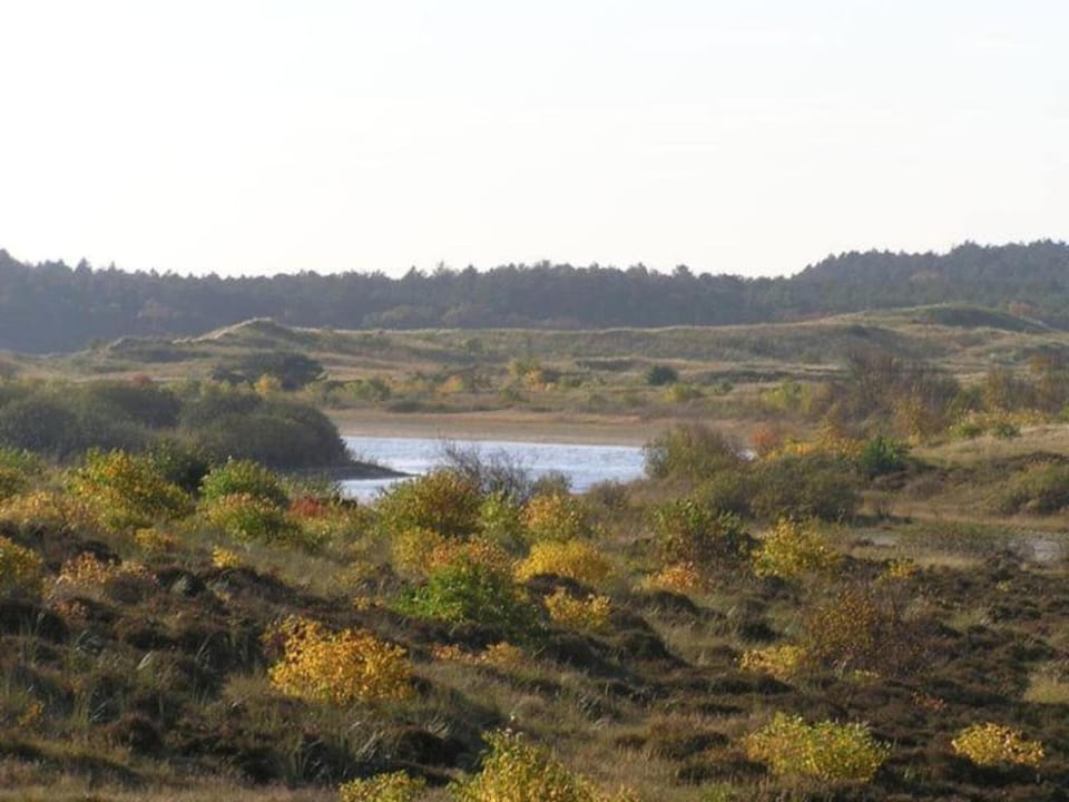 Region [summer] (>5 km)