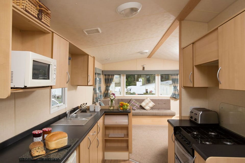 Comfort Mobile Home | Private kitchen | Fridge, microwave, stovetop, electric kettle