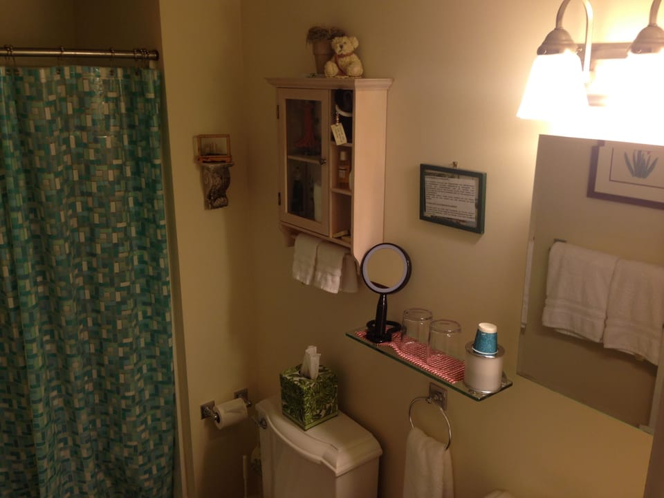 Room, 1 King Bed | Bathroom | Designer toiletries, hair dryer, bathrobes, towels