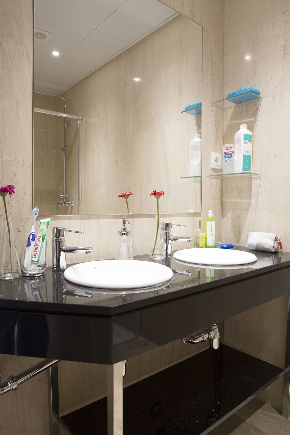 Exclusive Twin Room | Bathroom | Shower, free toiletries, towels