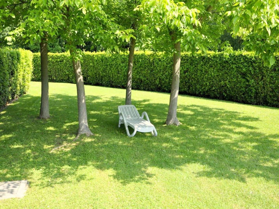 Garden [summer]