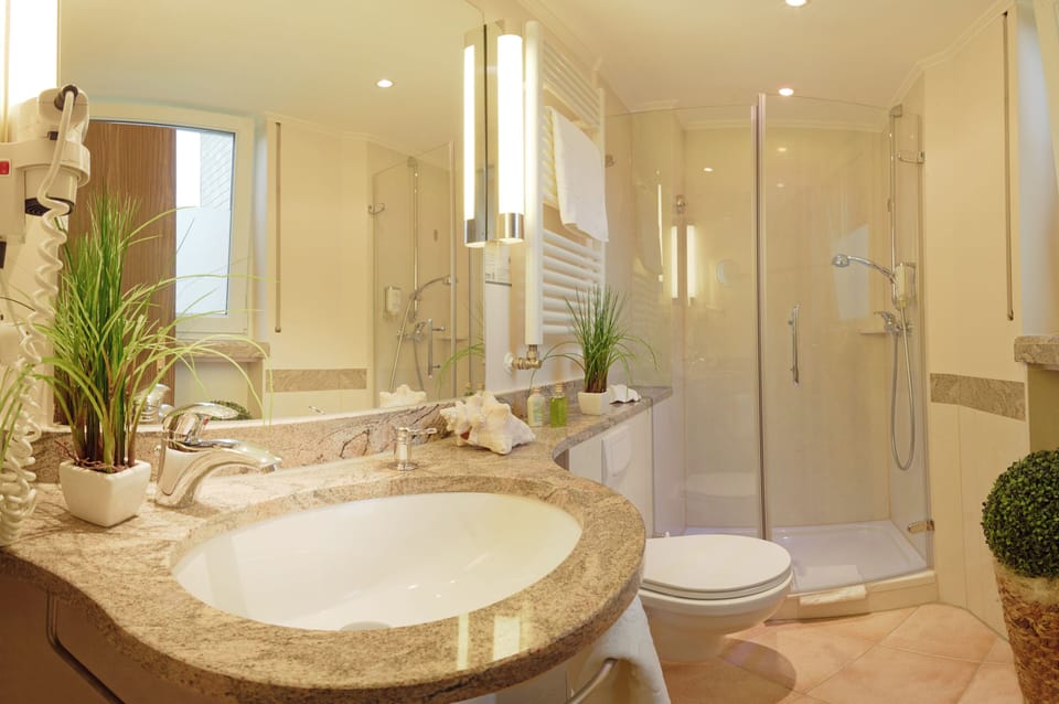 Shower, hair dryer, towels