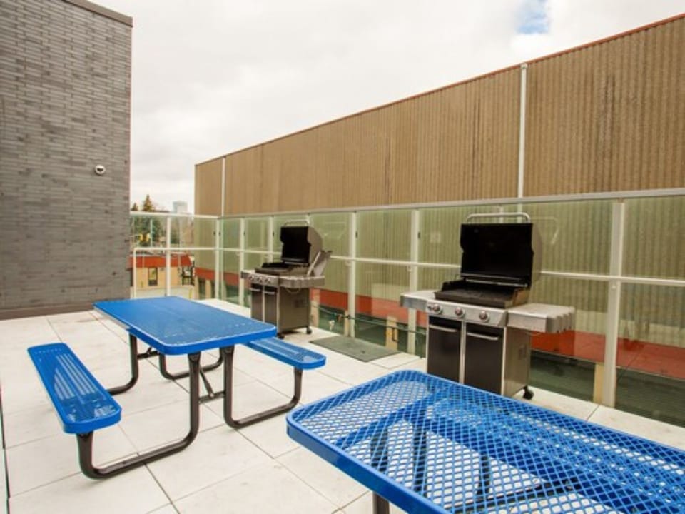 BBQ/picnic area