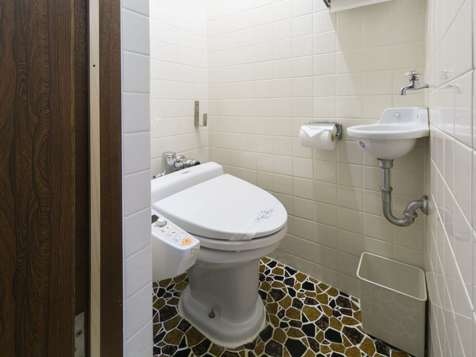 Free toiletries, hair dryer, slippers, bidet