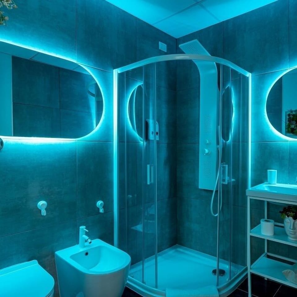 Shower, hair dryer, bidet, towels