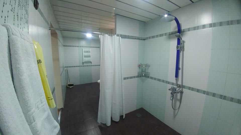 Deluxe Double Room, 1 Double Bed, Balcony | Bathroom shower