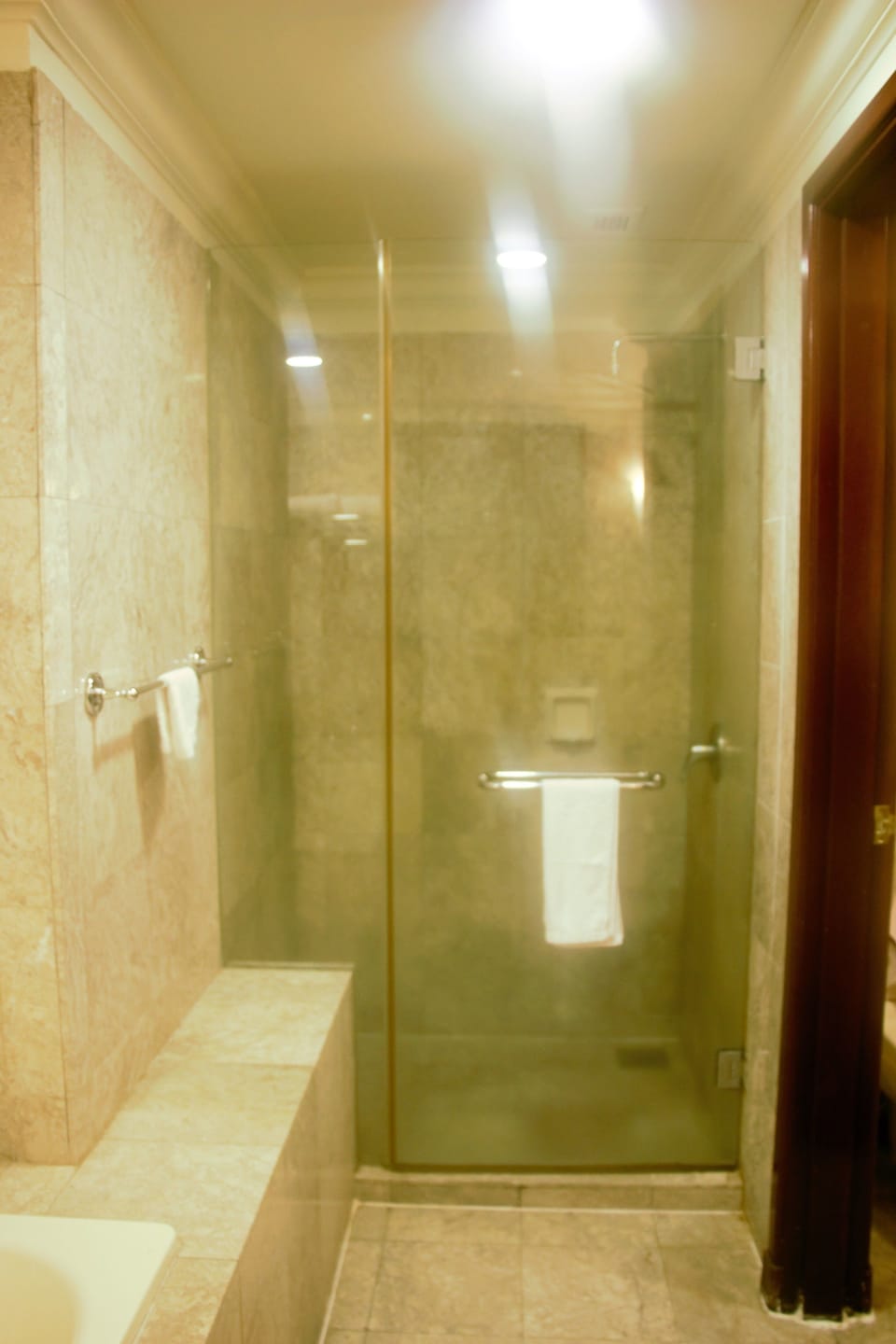Deluxe Room | Bathroom | Shower, free toiletries, towels