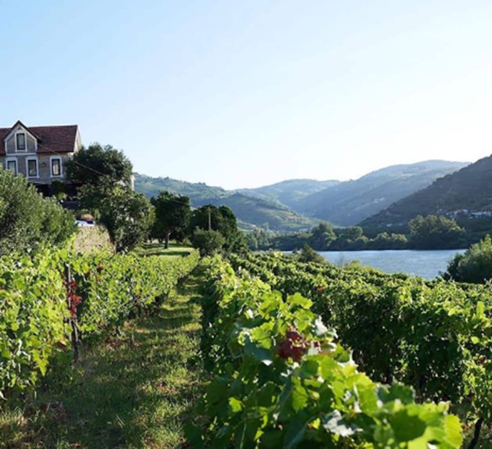 Quinta de S. Bernardo Winery & Farmhouse Country House in Porto District