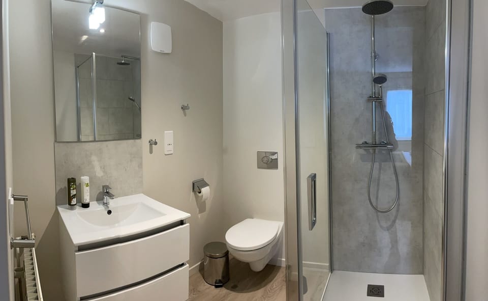 Standard Room | Bathroom | Hair dryer, towels