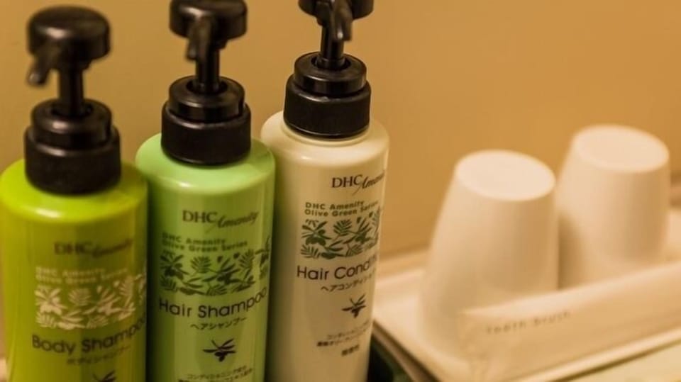 Combined shower/tub, free toiletries, hair dryer, slippers