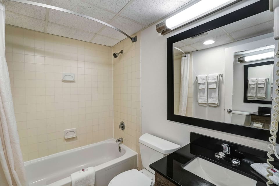 Combined shower/tub, towels, soap, toilet paper