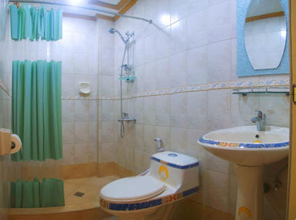 Shower, free toiletries, bidet, towels