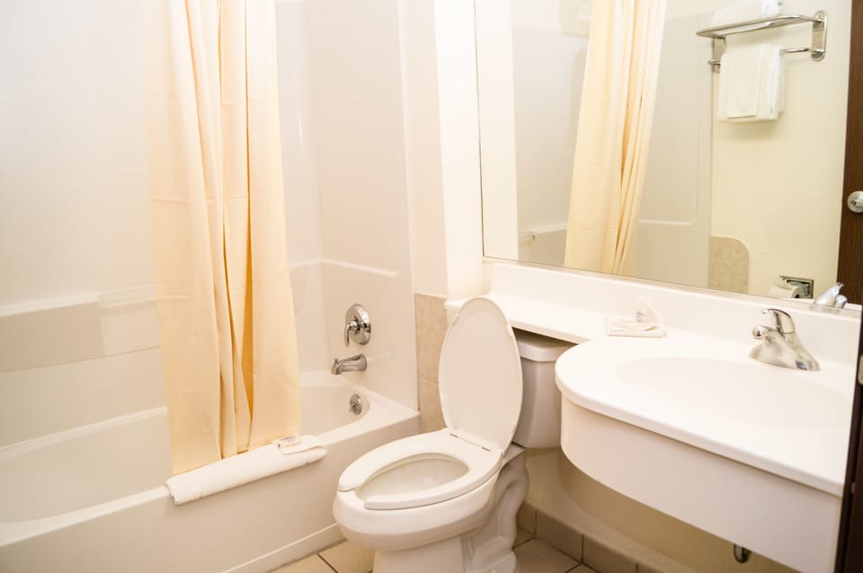 Suite, 1 Queen Bed | Bathroom | Free toiletries, hair dryer, towels