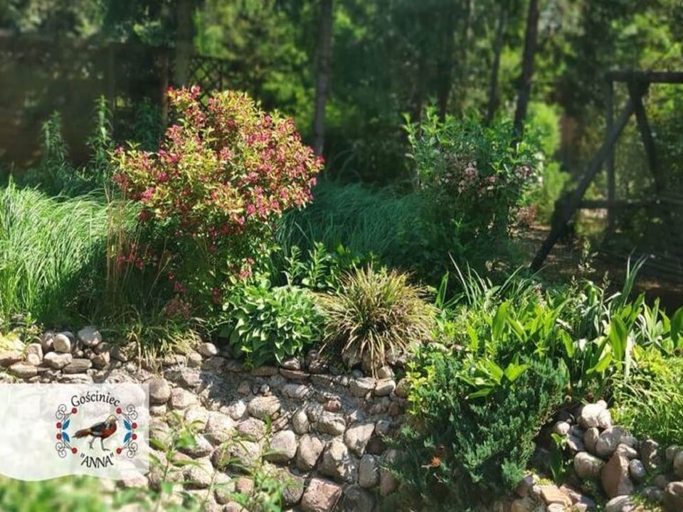Garden [summer]