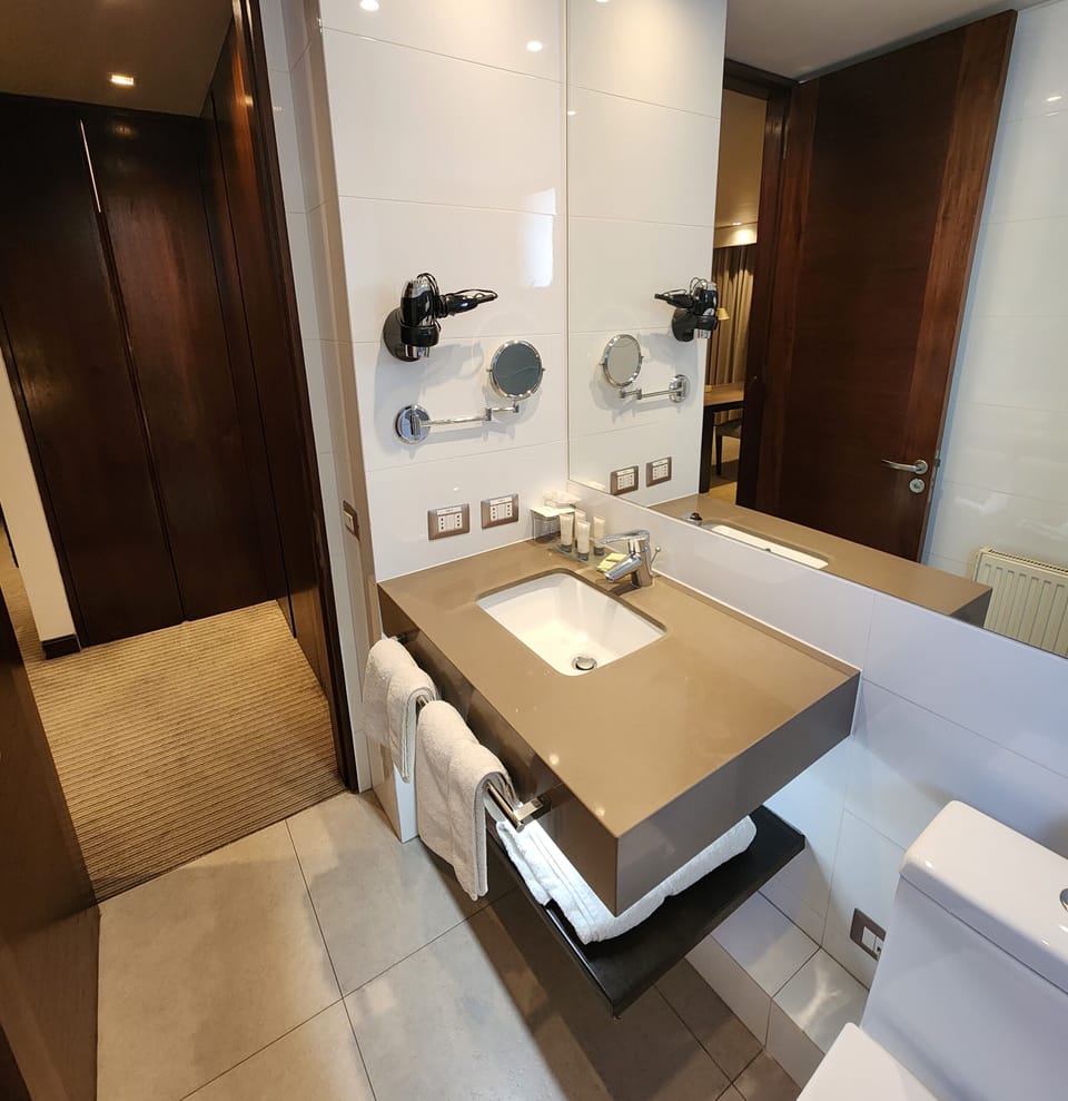 Suite | Bathroom | Shower, rainfall showerhead, free toiletries, hair dryer
