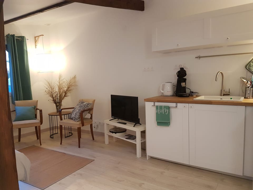 The Mirabellier | Living room | TV