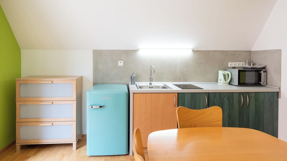 Family Apartment, 1 Bedroom, Balcony, Garden View (Kitchen) | Private kitchen | Mini-fridge