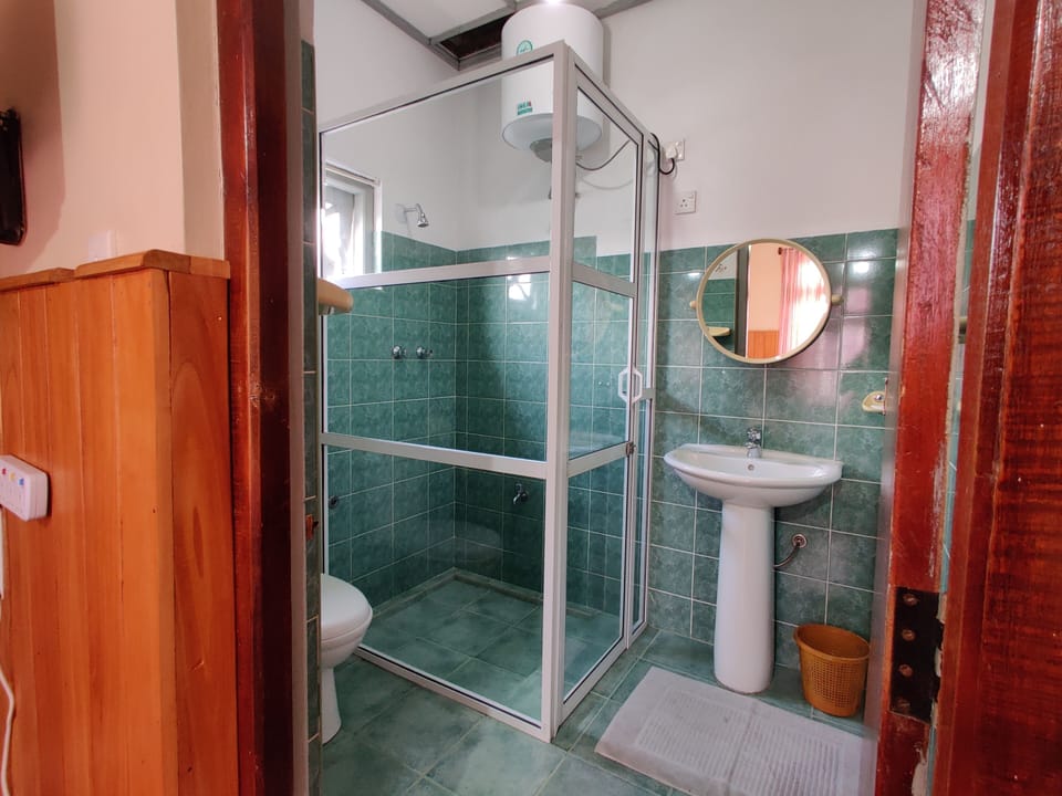 Shower, free toiletries, hair dryer, bidet