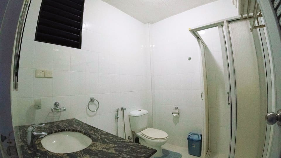 Shower, free toiletries, hair dryer, bidet