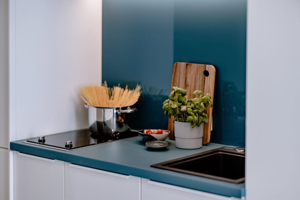 Comfort Double Room, 1 Queen Bed, Kitchenette | Private kitchen | Full-size fridge, microwave, stovetop, espresso maker