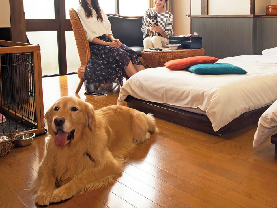 In-room safe, WiFi (free)