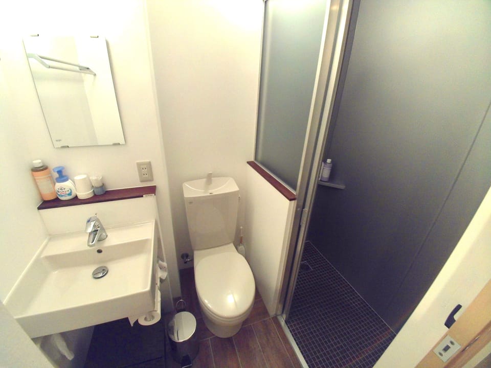 Shower, hair dryer, bathrobes, slippers