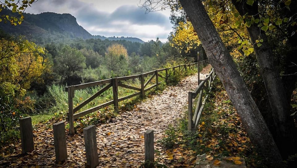 Hotel La Maga Rooms Bed and Breakfast in Xàtiva