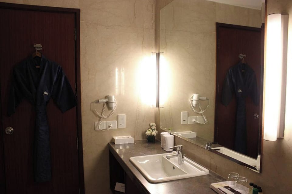 The Hans Hotel New Delhi Hotel in New Delhi