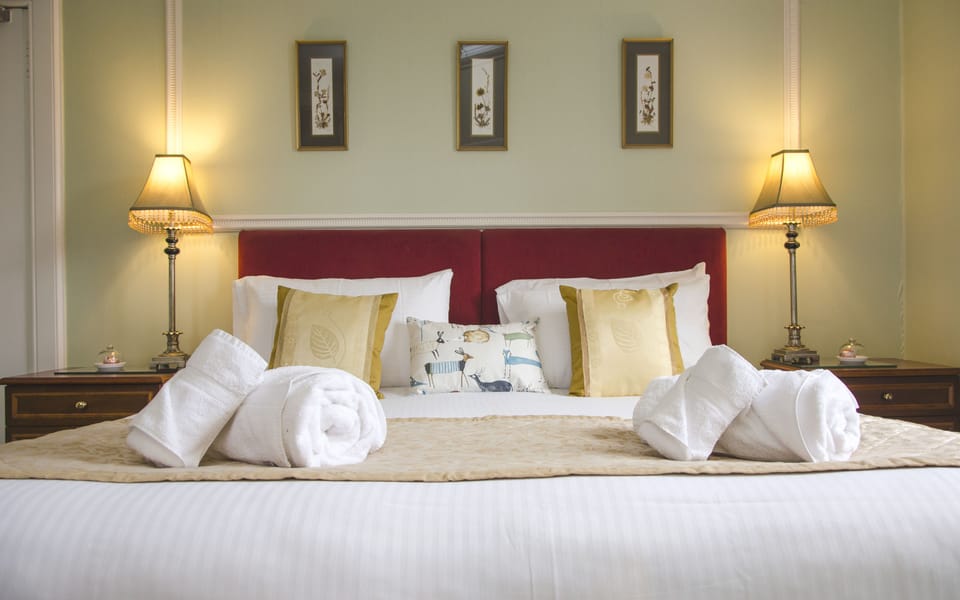 Iron/ironing board, bed sheets