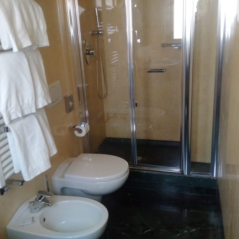 Hair dryer, slippers, bidet, towels