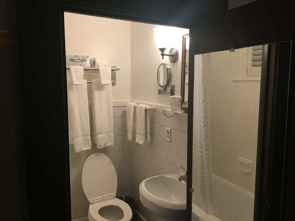 Combined shower/tub, free toiletries, hair dryer, towels