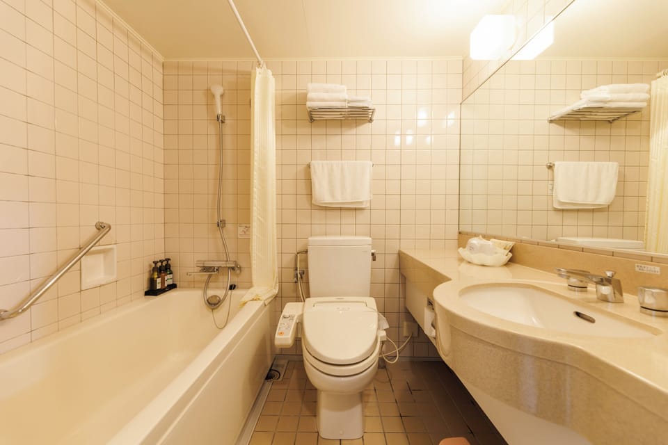 Combined shower/tub, free toiletries, hair dryer, slippers