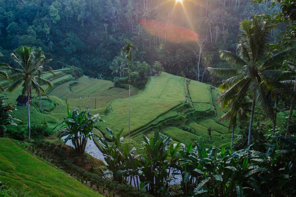 Suarapura Resort & Spa Hotel in Tampaksiring