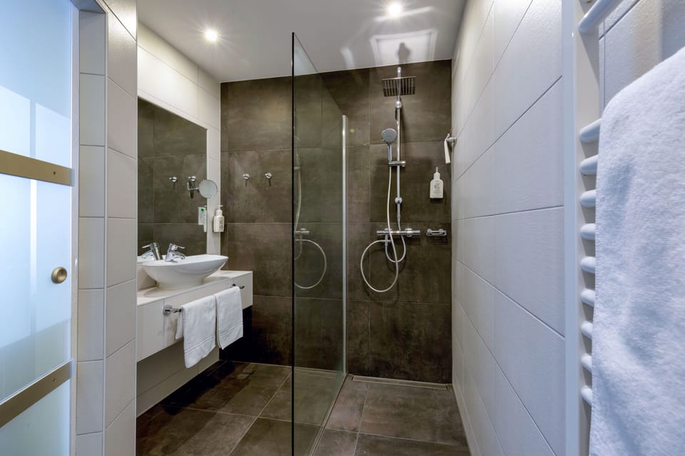 Double Room (Main Building) | Bathroom | Shower, rainfall showerhead, free toiletries, hair dryer